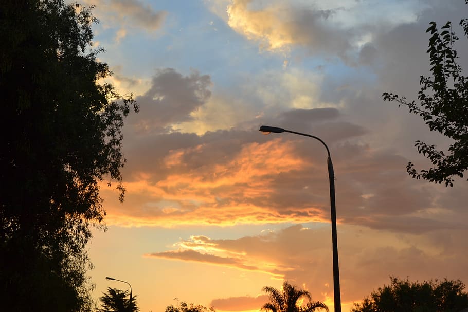 tramonto, sobborgo, alberi, paesaggio, sera, architettura, natura, strada, casa, cielo, nuvola - cielo, albero, nessuno, all'aperto, silhouette, pianta, lampione, bellezza nella natura, Inquadratura dal basso, colore arancione, attrezzatura per l'illuminazione, scenics - natura, la tranquillità, scena tranquilla, 1080P