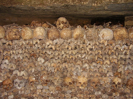 catacombe, teschi, osso, ossatura, gru, scheletro, Morte, Marrone, sfondi, cibo, architettura, nessuno, il passato, storia, arte e artigianato, religione, caratteristica della parete, spiritualità, credenza, creatività, struttura costruita, in casa, mestiere, rappresentazione, rappresentazione umana, parete, giorno, costruzione, somiglianza maschile, grande gruppo di oggetti, muro di pietra, soffitto, 2K, CC0, dominio pubblico, privo di copyright