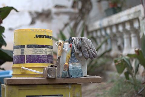 gloves, tools, painting, work, container, architecture, bottle, day, vertebrate, no people, focus on foreground, animal wildlife, one animal, outdoors, nature, bird, art and craft, animals in the wild, close-up, jar, built structure, 4K, CC0, public domain, royalty free