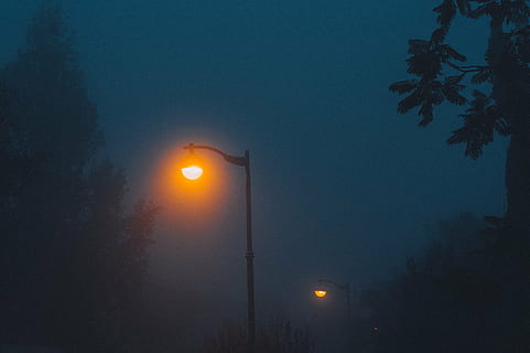 street lights, turned, lamp, posts, lights, night, dark, lamp posts, evening, fog, illuminated, street light, no people, outdoors, sky, low angle view, tree, nature, street, lighting equipment, plant, light, transportation, city, dusk, road, sign, 1080P, CC0, public domain, royalty free