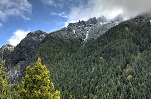 verde, grigio, montagna, blu, cielo, giorno, nebbioso, foresta, nube, collina, nebbia, cascata, abete, albero, natura, escursioni a piedi, piccolo si, nordovest del Pacifico, Washington, pianta, bellezza nella natura, scenics - natura, nuvola - cielo, la tranquillità, scena tranquilla, nessuno, scena non urbana, crescita, ambiente, colore verde, terra, paesaggio, Pino, albero di conifere, all'aperto, bosco, bosco di pini, albero sempreverde, picco di montagna, 4K, CC0, dominio pubblico, privo di copyright