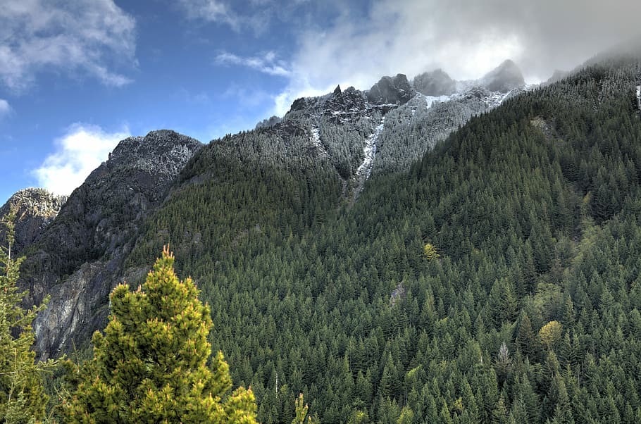 verde, grigio, montagna, blu, cielo, giorno, nebbioso, foresta, nube, collina, nebbia, cascata, abete, albero, natura, escursioni a piedi, piccolo si, nordovest del Pacifico, Washington, pianta, bellezza nella natura, scenics - natura, nuvola - cielo, la tranquillità, scena tranquilla, nessuno, scena non urbana, crescita, ambiente, colore verde, terra, paesaggio, Pino, albero di conifere, all'aperto, bosco, bosco di pini, albero sempreverde, picco di montagna, 4K