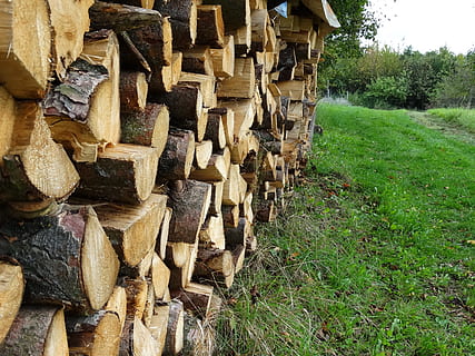 halzstapel, kmeny stromů, stoh dříví, dřevo, strom, log, palivové dříví, dřevo - materiál, dřevařský průmysl, rostlina, odlesňování, zásobník, velká skupina objektů, les, Příroda, přistát, den, pole, hojnost, zelená barva, nikdo, venku, sekaný, 2K, CC0, veřejná doména, bez autorských práv