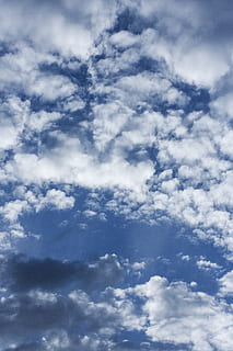 núvols blancs, núvol, blau, núvols, blanc, estiu, cel, paisatge, naturalesa, atmosfera, aire, espai, fons, aire lliure, temps, núvol - cel, dia, cloudscape, a l'aire lliure, núvol de cúmuls, escenics, clima, meteorologia, estratosfera, bellesa a la natura, esponjós, tranquil·litat, escenics - natura, vista d’angle baix, cap gent, escena tranquil·la, Color blanc, marc complet, idíl·lic, llum solar, suavitat, alt, alçada, 4K, CC0, domini públic, lliure de regalies