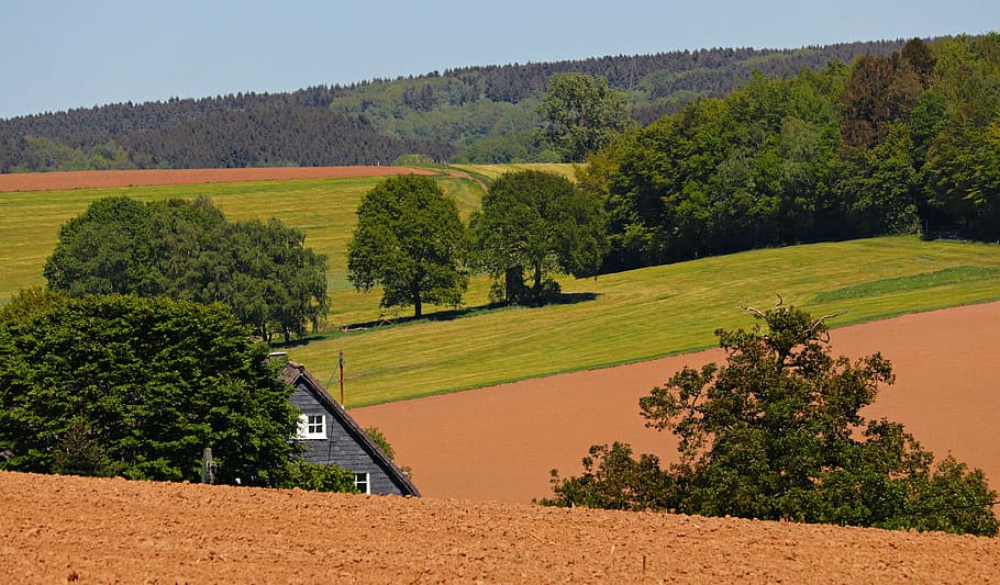 Casa, campo d'erba, verde, leafed, alberi, paesaggio, prato, i campi, arabile, natura, agricoltura, ambiente, estate, terra arabile, albero, pianta, scenics - natura, la tranquillità, colore verde, terra, bellezza nella natura, scena tranquilla, crescita, nessuno, cielo, campo, scena rurale, giorno, scena non urbana, collina, all'aperto, paesaggio ondulato, albero di conifere, 5K