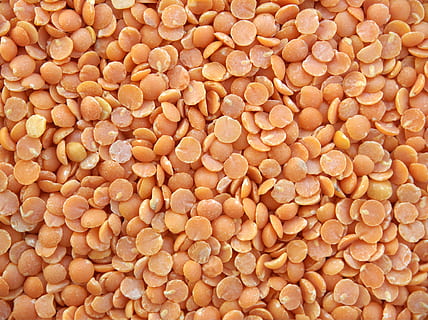 orange seeds, lentils, red, split, dried, legume, vegetarian, ingredient, orange, texture, organic, backgrounds, full frame, large group of objects, food, healthy eating, food and drink, wellbeing, abundance, no people, close-up, freshness, indoors, brown, fruit, heap, raw food, still life, nature, bean, high angle view, legume family, vegetarian food, snack, 4K, CC0, public domain, royalty free