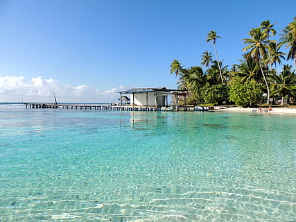 polynesia, water, turquoise, sky, palm tree, tropical climate, sea, tree, built structure, scenics - nature, beauty in nature, architecture, nature, tranquil scene, tranquility, blue, beach, day, land, no people, idyllic, swimming pool, turquoise colored, outdoors, luxury, 4K, CC0, public domain, royalty free
