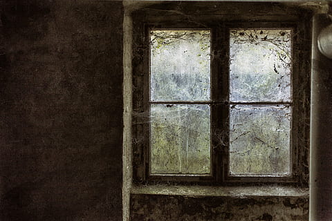 glasrude rude, Brun, træ-, Vindue panel, lukket, spindelvæv, tabt sted, rædsel, tomt rum, kælder, vindue, glas - materiale, indendørs, gennemsigtig, arkitektur, bygget struktur, gammel, forladt, ingen mennesker, dag, forældet, hus, bygning, kørt ned, murbygningsfunktion, nedgang, beskadiget, forvitret, forringelse, vinduesramme, rektangel, glas, 5K, CC0, offentligt domæne, royaltyfrie