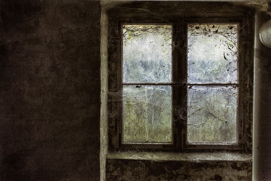 glasrude rude, Brun, træ-, Vindue panel, lukket, spindelvæv, tabt sted, rædsel, tomt rum, kælder, vindue, glas - materiale, indendørs, gennemsigtig, arkitektur, bygget struktur, gammel, forladt, ingen mennesker, dag, forældet, hus, bygning, kørt ned, murbygningsfunktion, nedgang, beskadiget, forvitret, forringelse, vinduesramme, rektangel, glas, 5K