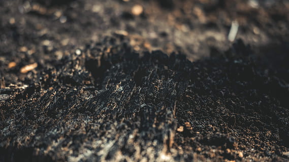 nærbillede foto, jord, sort jord, struktur, mudder, smuds, bark, korn, selektiv fokusering, ingen mennesker, natur, baggrunde, tekstureret, tæt på, fuld ramme, dag, træ - materiale, udendørs, Mark, ru, skønhed i naturen, ro, Brun, mønster, klippe, solid, træ, 5K, CC0, offentligt domæne, royaltyfrie