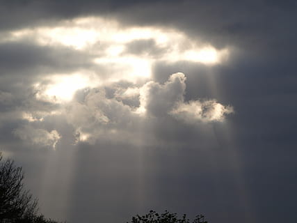 himmel, form, mørke skyer, skyer, skyer form, solstråle, natur, sky - himmel, ingen mennesker, scenics, skønhed i naturen, ro, scenics - natur, dag, lav vinkel visning, rolig scene, træ, udendørs, plante, storm, sollys, cloudscape, idyllisk, dramatisk himmel, meteorologi, ildevarslende, 2K, CC0, offentligt domæne, royaltyfrie