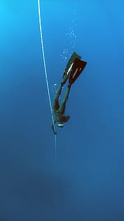 om, verde, wetsuit, scufundare, corp, apă, corp de apa, adâncime, sub apă, scafandru, sportiv, apnee, marin, ocean, mare, cu sufletul la gura, aripioară, înot, umed, tropical, albastru, extrem, sub mare, lungime totală, natură, o persoana, zi, mişcare, oameni adevărați, în aer liber, aventură, sport acvatic, spațiu copie, persoană nerecunoscută, 2K, CC0, domeniu public, fără drepturi de autor