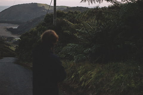 person, stående, asfaltvej, foran, træ, vej, ved siden af, træer, human, tilbage, stolpe, landskab, baggrund, fotografering, Skov, aften, natur, Kvinder, udendørs, tid på dagen, voksen, mennesker, en person, bagfra, rigtige mennesker, dag, plante, fritidsaktivitet, livsstil, bjerg, jord, skønhed i naturen, tre kvart længde, ro, gå, 5K, CC0, offentligt domæne, royaltyfrie
