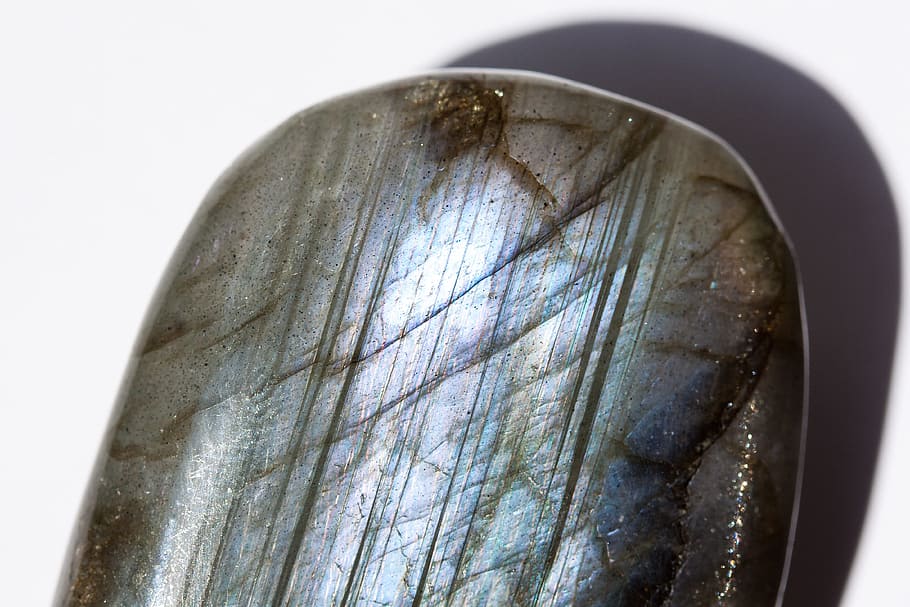 gemma, labradorite, terra, lucidato, azzurrognolo, blu, viola, bagliore, brillante, pietre semi preziose, macro, girato in studio, sfondo bianco, avvicinamento, in casa, singolo oggetto, nessuno, cibo e bevande, assistenza sanitaria e medicina, cibo, animale, semplicità, natura, legno - materiale, sezione trasversale, benessere, emozione, frutti di mare, bere, mangiare sano, 4K