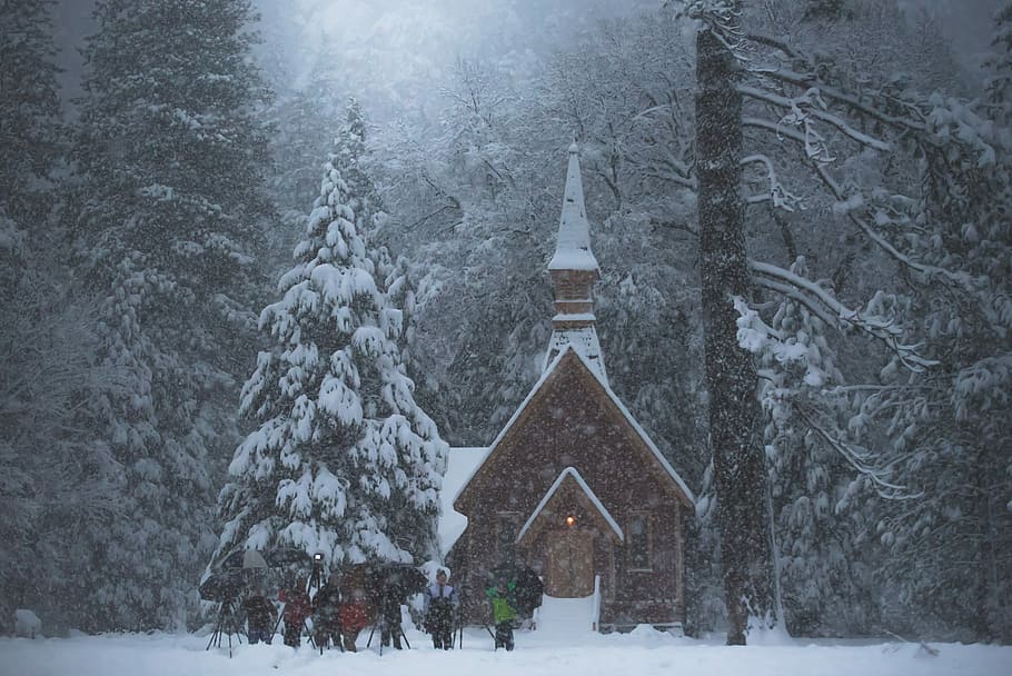 people, standing, outside, church, forest, ice, covered, pine tree, beside, house, moody, curch, snowing, hiking, hikers, snow, winter, cold temperature, tree, built structure, architecture, plant, nature, building exterior, no people, scenics - nature, beauty in nature, day, building, white color, extreme weather, outdoors, land, 5K