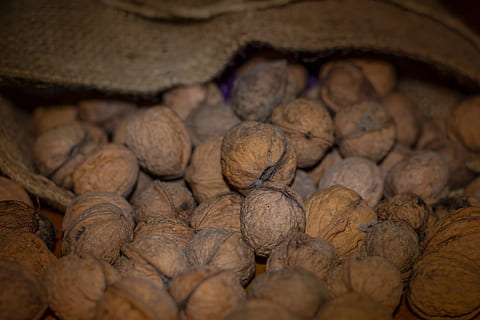 noccioline, Noci, Borsa, Noce, mangiare, cibo, ciotola da frutta, conchiglia, salutare, gustoso, delizioso, vicino, non trattata, nutrizione, pensare, cervello, cibo e bevande, grande gruppo di oggetti, abbondanza, freschezza, nessuno, mangiare sano, avvicinamento, benessere, messa a fuoco selettiva, dado - cibo, mercato, verdura, Marrone, natura morta, in casa, giorno, condizione naturale, 2K, CC0, dominio pubblico, privo di copyright
