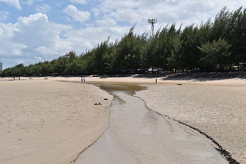sosny, piaszczysta plaża, plaża, fala, niebo, Zatoka Tajlandii, plaża w Hua Hin, drzewo, wylądować, roślina, piasek, woda, chmura - niebo, piękno natury, Natura, dzień, spokój, scenics - natura, morze, spokojna scena, wzrost, przypadkowi ludzie, scena pozamiejska, na dworze, 5K, CC0, domena publiczna, darmowe zdjęcia