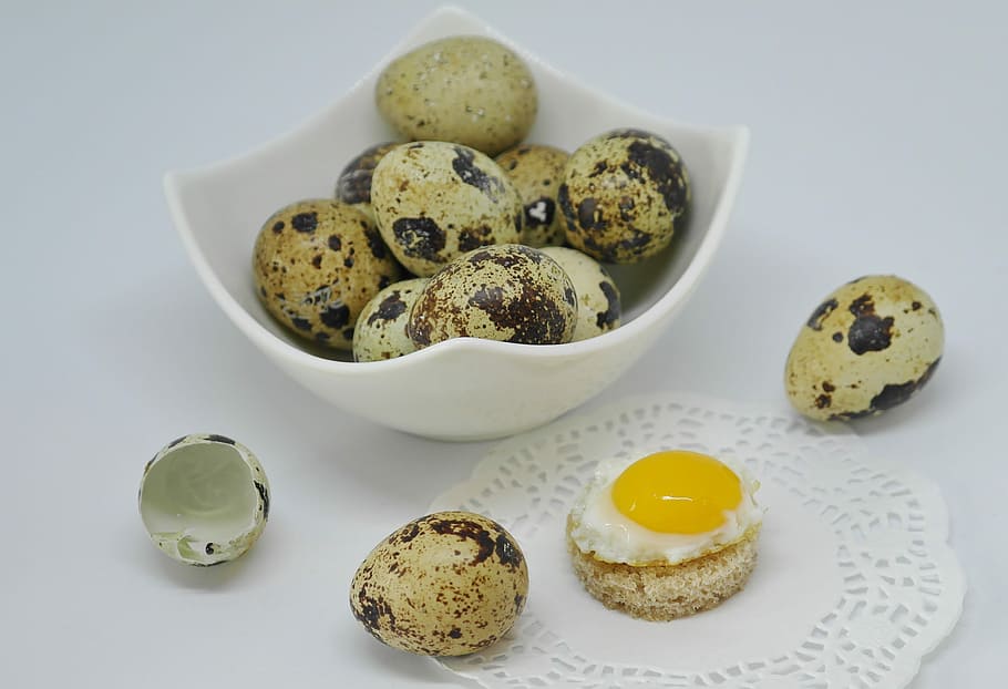 ous de guatlla, ou, shell, fregit, cuit, menjar, proteïna, rovell, esmorzar, gourmet, cuinar, Pasqua, tancar, saludable, cuina, colesterol, saborós, postres, refresc, menjar i beguda, tir de l'estudi, alimentació saludable, cap gent, grup d'objectes, frescor, fons blanc, benestar, a l'interior, natura morta, grup mitjà d'objectes, tallar, elecció, primer pla, variació, pansa, cookie, vista d’angle alt, berenar, galetes de xocolata, 4K