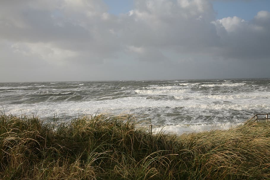 endavant, mar, vent, onada, aigua, inflor, núvols, humor, navega, naturalesa, Costa, escuma, cel, terra, platja, horitzó sobre l’aigua, núvol - cel, horitzó, escenics - natura, bellesa a la natura, herba, moviment, cap gent, esport, medi ambient, esport aquàtic, a l'aire lliure, herba de marram, 4K