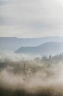 Nebel, Grün, Rasenplatz, tagsüber, Berg, bedeckt, Wolken, Wolke, Bäume, Staub, Sand, Wolkengebilde, Natur, Südamerika, Peru, Landschaft, Colca Canyon, Schönheit in der Natur, ruhige Szene, Szenen - Natur, Umgebung, Ruhe, Pflanze, Himmel, dunstig, Baum, Nicht-städtische Szene, Land, idyllisch, keine Leute, Tag, Fernbedienung, draußen, 5K, CC0, gemeinfrei, lizenzfrei