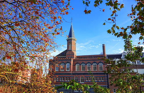 tårn, ur, bygning, arkitektur, vinduer, buede vinduer, by, amsterdam, gammel, blade, ramme, Marnixstraat, træ, bygning udvendig, bygget struktur, plante, himmel, efterår, lav vinkel visning, natur, dag, rejsemål, afdeling, sted for tilbedelse, ingen mennesker, fortiden, historie, lave om, blå, udendørs, Spir, 4K, CC0, offentligt domæne, royaltyfrie