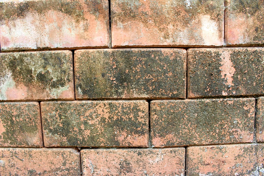 brut, sec, maons, patró, ceràmica, close-up, crack, cubs, brutícia, exterior, material, molsa, aspre, superfície, paret, marc complet, fons, textura, funció de construcció de parets, cap gent, dia, estructura construïda, primer pla, arquitectura, maó, a l'aire lliure, forma, rajola, disseny, repetició, resistent, forma geomètrica, sòls, llambordes, paret de pedra, concret, 5K
