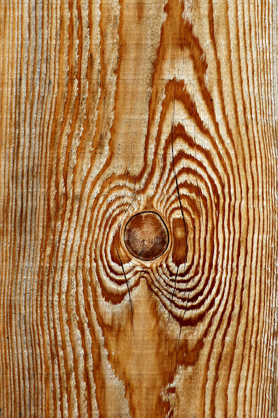 Holz, Bauholz, Material, Probe, Korn, Struktur, Natur, Muster, natürliches Muster, texturiert, Holz - Material, Hintergründe, Vollbild, Holzmaserung, braun, keine Leute, Nahansicht, Baum, gestalten, draußen, Zeit, Kreis, Geometrische Figur, Baumring, Kiefernholz, konzentrisch, 4K