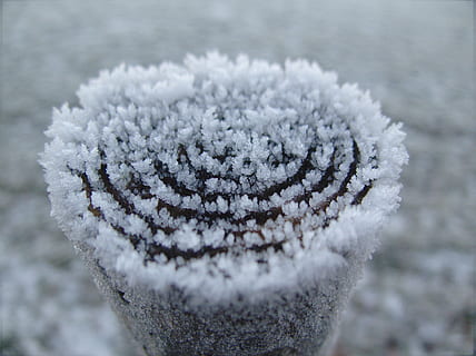 vinter, hvid, kold, sne, vinterlige, sne magi, krystal, kold temperatur, tæt på, Frosset, dag, ingen mennesker, frost, selektiv fokusering, natur, is, fokus på forgrunden, hvid farve, udendørs, plante, nåletræ, træ, mønster, mad og drikke, sner, varme tøj, 4K, CC0, offentligt domæne, royaltyfrie