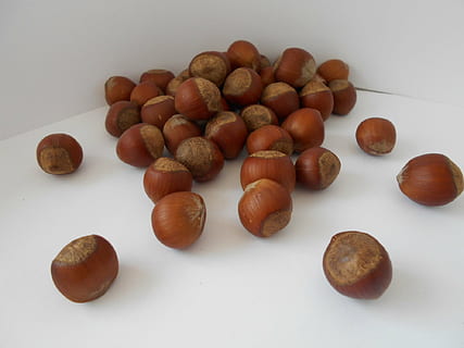 Haselnuss, Nüsse, Stillleben, weißer Hintergrund, Essen und Trinken, Lebensmittel, Studioaufnahme, Frische, gesundes Essen, Nuss, braun, drinnen, Wohlbefinden, Nuss - Essen, keine Leute, High Angle View, Nahansicht, Gruppe von Objekten, große gruppe von gegenständen, Obst, Tabelle, 1080P, CC0, gemeinfrei, lizenzfrei