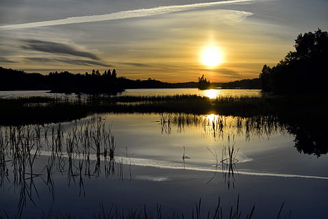 solnedgång, landskap, sjö, marsh, skymning, sjö, kärr, natur, sommar, moln, kväll, himmel, reflexion, vatten, silhuett, skönhet i naturen, lugn, scenics - natur, träd, lugn plats, moln - himmel, växt, inget folk, idyllisk, icke-urbana scenen, orange färg, vid vatten, reflektion sjö, 5K, CC0, offentligt domän, royaltyfria