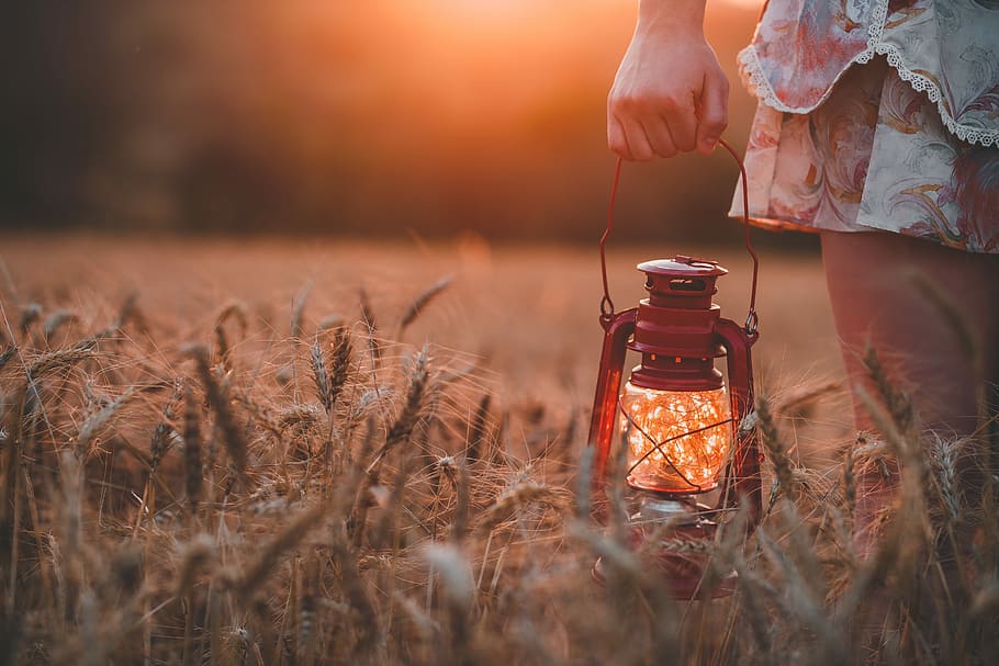 avvicinamento, fotografia, donna, indossare, floreale, gonna, detenzione, rosso, lanterna a gas, Marrone, campo d'erba, persona, portando, lanterna di cherosene, a piedi, erba, lanterna, luce, campo, autunno, lampion, arancia, tramonto, Grano, azienda agricola, luce fata, vestito, mano, lampada ad olio, lampada, una persona, terra, parte del corpo umano, natura, mano umana, cielo, pianta, vaso, cibo e bevande, pianta di cereali, bottiglia, scena rurale, prole, messa a fuoco selettiva, contenitore, all'aperto, 5K
