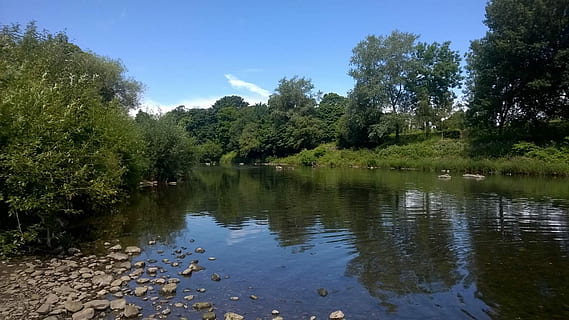 fiume, lento, mollusco, rocce, estate, ancora, Galles, acqua, riflessione, albero, natura, all'aperto, lago, pianta, la tranquillità, crescita, cielo, bellezza nella natura, scena tranquilla, scenics - natura, giorno, nessuno, colore verde, scena non urbana, foresta, 1080P, CC0, dominio pubblico, privo di copyright