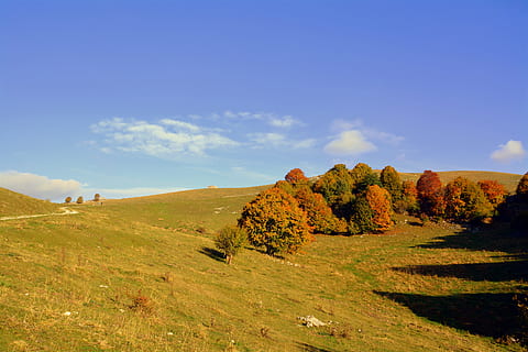 ekskursija, medžiai, ruduo, takas, kalnas, europos kelias, e5, Lessinia, Italija, dangus, grožis gamtoje, augalų, ramioje scenoje, vaizdai - gamta, ramybė, debesis - dangus, aplinką, pobūdį, kraštovaizdį, ne miesto scenoje, dieną, nėra žmonių, medis, žemės, mėlyna, žolė, augimą, idiliškas, lauke, 5K, CC0, Viešasis domenas, nemokamai