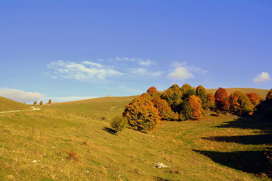 escursione, alberi, autunno, pista, montagna, il percorso europeo, e5, Lessinia, Italia, cielo, bellezza nella natura, pianta, scena tranquilla, scenics - natura, la tranquillità, nuvola - cielo, ambiente, natura, paesaggio, scena non urbana, giorno, nessuno, albero, terra, blu, erba, crescita, idilliaco, all'aperto, 5K