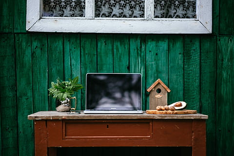 vintage workplace, Vintage, workplace, workspace, computer, macbook, technology, desk, laptop, countryside, green boards, wood - Material, old, old-fashioned, retro Styled, window, obsolete, antique, no People, rustic, computer monitor, computer keyboard, abandoned, day, communication, green color, table, furniture, wall - building feature, outdoors, nature, animal, wireless technology, security, animal wildlife, architecture, potted plant, 2K, CC0, public domain, royalty free
