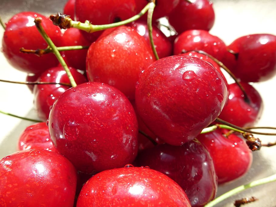 Kirsche, Kirschen, Kirsche Ernte, gesundes Essen, Lebensmittel, Essen und Trinken, Obst, rot, Wohlbefinden, Frische, Nahansicht, reif, keine Leute, saftig, große gruppe von gegenständen, Stillleben, Pflanzenstamm, Fokus auf den Vordergrund, fallen, nass, Wasser, Tag, Rote Johannisbeere, 4K