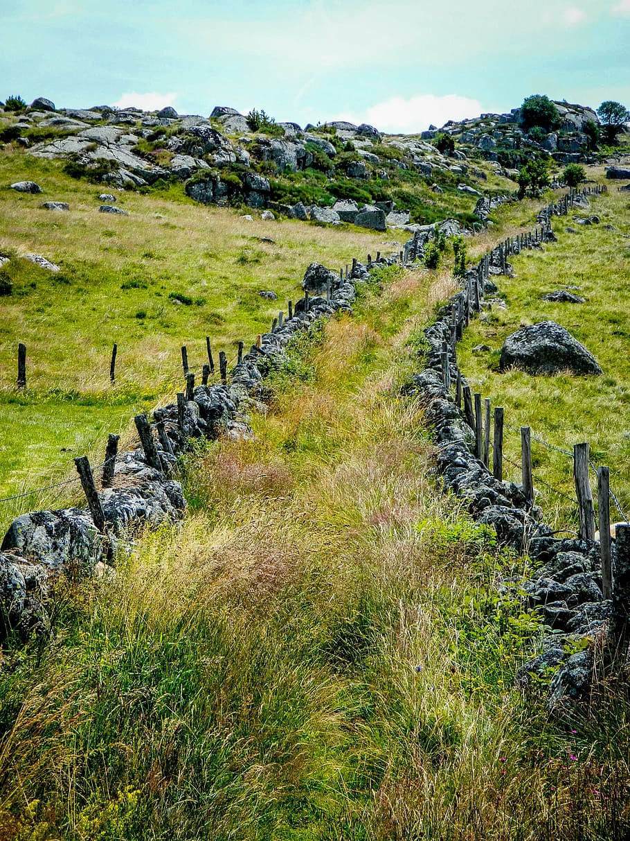 envoltat, verd, herba, Camí, ruta, aubrac, sender de muntanya, ruta de senderisme, planta, naturalesa, escena tranquil·la, camp, terra, paisatge, tranquil·litat, cel, medi ambient, cap gent, color verd, dia, escenics - natura, bellesa a la natura, escena no urbana, creixement, límit, barrera, direcció, a l'aire lliure, 4K