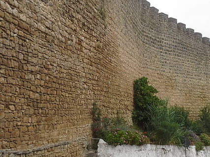 parete, castello, vecchio, struttura costruita, architettura, caratteristica della parete, pianta, esterno dell'edificio, giorno, natura, crescita, muro di pietra, nessuno, storia, il passato, all'aperto, costruzione, muro di cinta, antico, albero, Inquadratura dal basso, mattone, antica civiltà, 1080P, CC0, dominio pubblico, privo di copyright