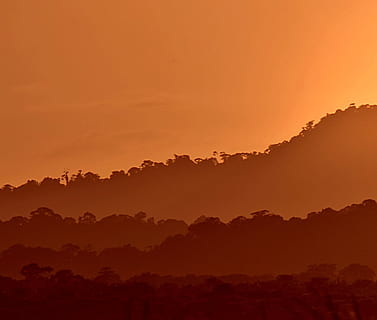 posta de sol, guyana, taronja, naturalesa, boira, cel dramàtic, silueta, escenics, bellesa a la natura, cel, tranquil·litat, escenics - natura, color taronja, medi ambient, paisatge, escena tranquil·la, idíl·lic, cap gent, arbre, núvol - cel, sol, muntanya, terra, a l'aire lliure, bosc, cim de muntanya, 1080P, CC0, domini públic, lliure de regalies