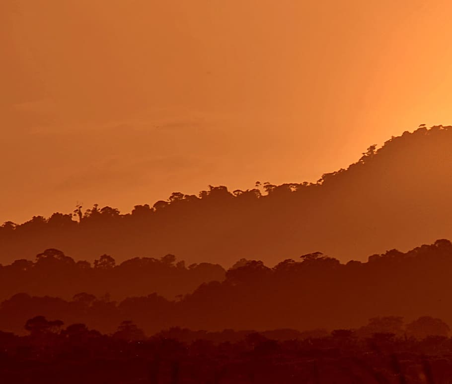 posta de sol, guyana, taronja, naturalesa, boira, cel dramàtic, silueta, escenics, bellesa a la natura, cel, tranquil·litat, escenics - natura, color taronja, medi ambient, paisatge, escena tranquil·la, idíl·lic, cap gent, arbre, núvol - cel, sol, muntanya, terra, a l'aire lliure, bosc, cim de muntanya, 1080P