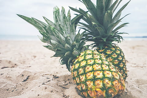 Grün, Ananas, braun, Sand, flach, fokus fotografie, Obst, Strand, tropisch, Insel, exotisch, Resort, Küste, Sommer-, Urlaub, Karibik, Lebensmittel, Frische, Natur, reif, gesundes Essen, Land, Tropische Frucht, Meer, Essen und Trinken, Tag, Wasser, Fokus auf den Vordergrund, Wohlbefinden, keine Leute, Nahansicht, Schönheit in der Natur, tropisches Klima, draußen, 5K