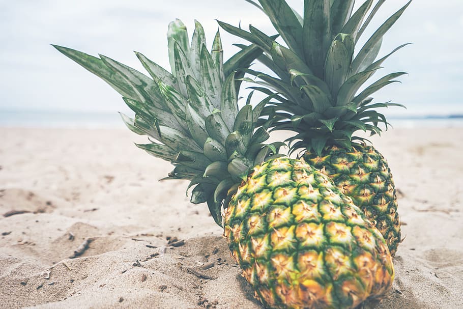 verd, pinyes, marró, sorra, poc profund, focalitzar la fotografia, fruita, platja, tropical, illa, exòtic, Resort, Costa, estiu, vacances, festa, Carib, pinya, menjar, frescor, naturalesa, madur, alimentació saludable, terra, fruita tropical, mar, menjar i beguda, dia, aigua, centrar-se en primer pla, benestar, cap gent, primer pla, bellesa a la natura, clima tropical, a l'aire lliure, 5K