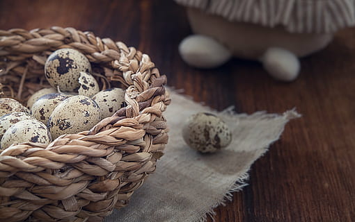 Korb, Wachteleier, Ei, Ostern, Brauch, Zoll, Osterferien, natürliches Produkt, schließen, Essen und Trinken, Holz - Material, Lebensmittel, drinnen, Stillleben, Tabelle, Süßes Essen, Frische, keine Leute, gebacken, Nahansicht, High Angle View, braun, Versuchung, Feier, Fokus auf den Vordergrund, Wohlbefinden, Süss, 1080P, CC0, gemeinfrei, lizenzfrei