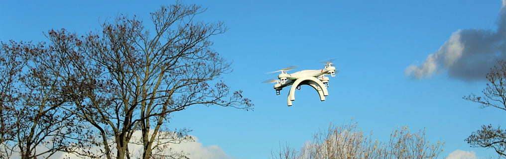 hvid, quadrokopter, flyvningen, drone, flyve, rotor, fly, banner, baggrundsbillede, himmel, træ, flyvende, blå, dyr, dyre temaer, dyr i naturen, skyfri himmel, dyreliv, Midt i luften, plante, natur, bare træ, hvirveldyr, dag, ingen mennesker, et dyr, udendørs, lav vinkel visning, panoramisk, 2K, CC0, offentligt domæne, royaltyfrie
