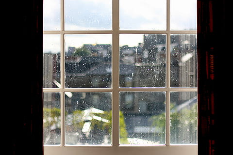 klar, glassvindu, hvit, stålramme, regndråpe, vindu, miste, dråper, regn, vann, våt, regnfull dag, regndråper, dugg, glass, ensomhet, regntomt, duggfall, by, dryppende, tre, telt, refleksjon, glass - materiale, dag, vær, innendørs, ingen folk, gjennomsiktig, natur, anlegg, arkitektur, bygget struktur, bygning, vinter, vinduskarm, snø, snowing, 2K, CC0, offentlig domene, opphavsrett gratis