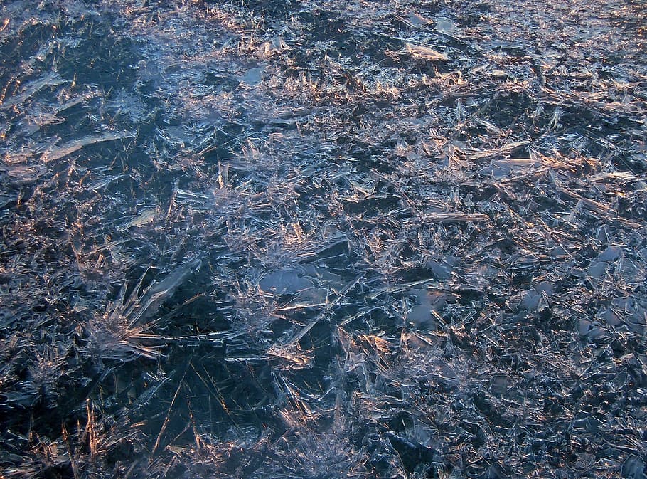 textura, gel, hivern, patrons, cristall, fons, plantilla, superfície, llac, macro, congelat, brillant, l'estructura de la, disseny, àrtic, agulla, cristalls, aigua congelada, transparent, blau, fred, formacions de gel, gelades, plantilles, gelada, paisatge, omplir, naturalesa, patró, raigs del sol, tarda, primer pla, tardor, marc complet, cap gent, vista d’angle alt, dia, terra, camp, tranquil·litat, planta, a l'aire lliure, bellesa a la natura, creixement, directament a sobre, temperatura de fred, 1080P