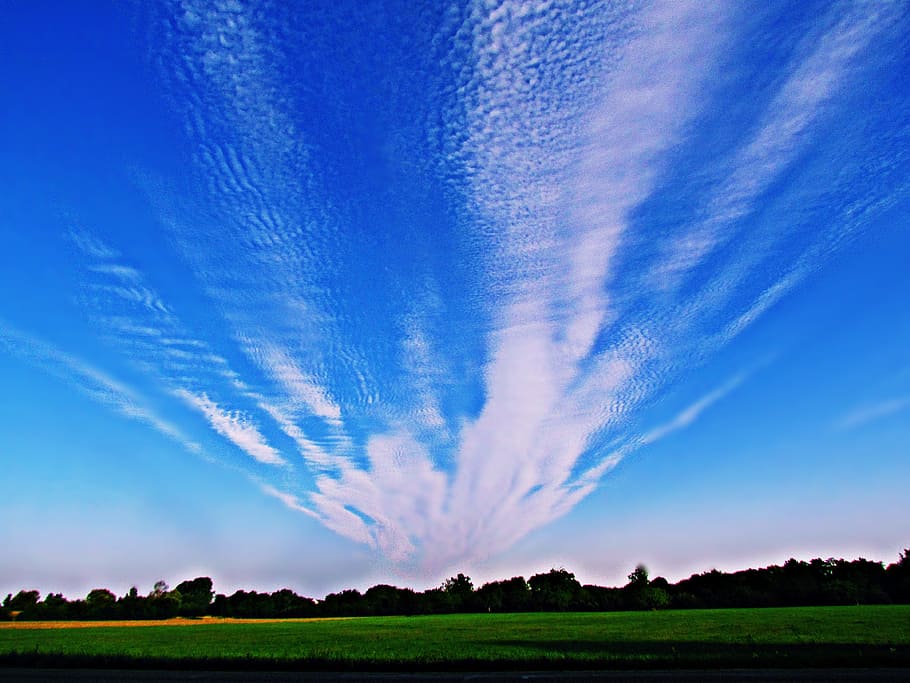 himmel, skyer, eng, Sky, solen, skydække, natur, landskab, scenics - natur, sky - himmel, rolig scene, skønhed i naturen, plante, miljø, blå, ro, ingen mennesker, landlige scene, græs, jord, Mark, træ, almindeligt, nat, landbrug, udendørs, 4K