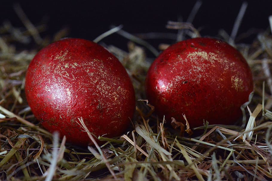 ous de Pasqua, Pasqua, ou, decoració, decoració de pasqua, Feliç Pasqua, vermell, bonic, brillant, ous de colors, color, decoracions de pasqua, pintat, personalitzat, fenc, ou de Pasqua, salutacions de pasqua, celebració de Pasqua, menjar i beguda, menjar, fruita, alimentació saludable, primer pla, planta, benestar, naturalesa, cap gent, enfocament selectiu, frescor, centrar-se en primer pla, dos objectes, herba, celebració, a l'interior, festa, natura morta, 4K