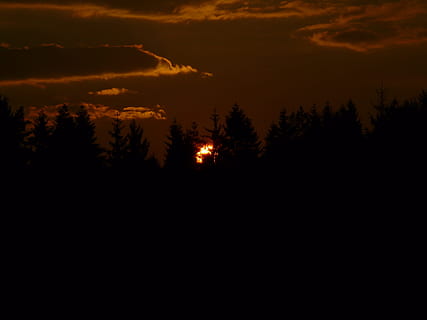 auringonlasku, aurinko, pilviä, tumma, ilta, taivas, iltahämärä, metsä, maisema, idylli, näkymät, luonto, levätä, kiilto-, valo, säteet, pilvi, helpotus, ääriviivat, siluetti, yö-, puu, scenics, kauneus luonnossa, maisemat - luonto, rauhallinen kohtaus, tyyneys, ei ihmisiä, kasvi, ympäristö, kopiointitila, idyllinen, ei-kaupunkikuvia, pilvi - taivas, oranssi väri, maa, ulkona, 2K