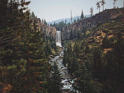 cascata, alberi, colline, albero, foderato, torrente, giorno, fiume, foresta, Pino, pianta, natura, scenics - natura, bellezza nella natura, crescita, terra, acqua, nessuno, acqua corrente, movimento, cielo, lunga esposizione, ambiente, all'aperto, scena non urbana, fluente, potere in natura, 4K, CC0, dominio pubblico, privo di copyright